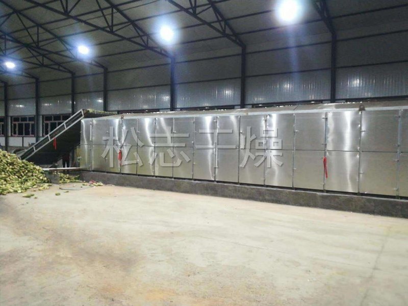 脱水蔬菜带式干燥机 tra3